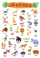 Animals Animals