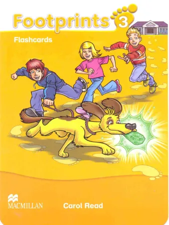 Footprints Level 3 Flashcards - наглядные карточки