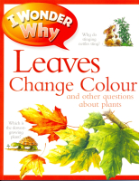 Leaves Change Colour Reader - книга для чтения
