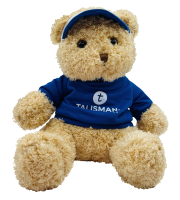 Медведь бежевый в синей футболке