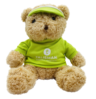 Медведь бежевый в зеленой футболке