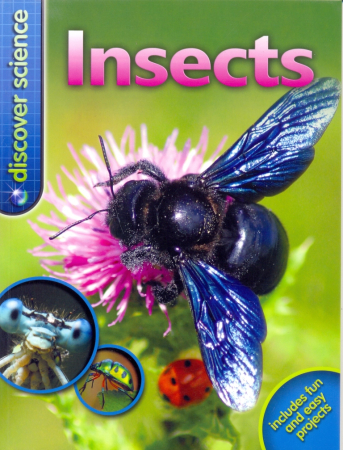 Insects Reader - книга для чтения