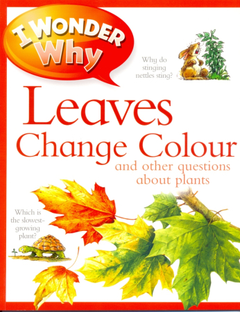 Leaves Change Colour Reader - книга для чтения